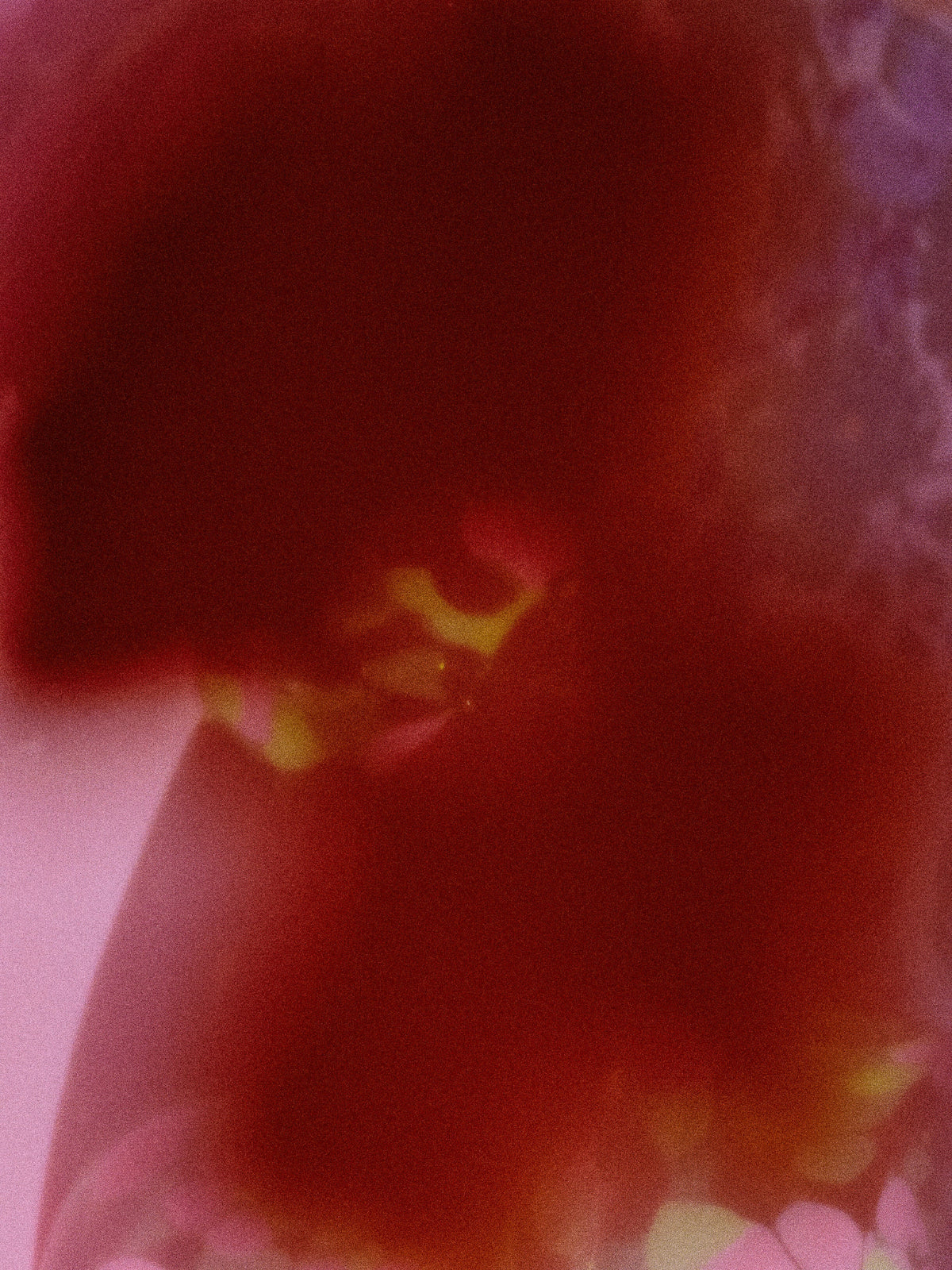 Abstract mood image for ABEL Pause Eau de Parfum in warm red tones