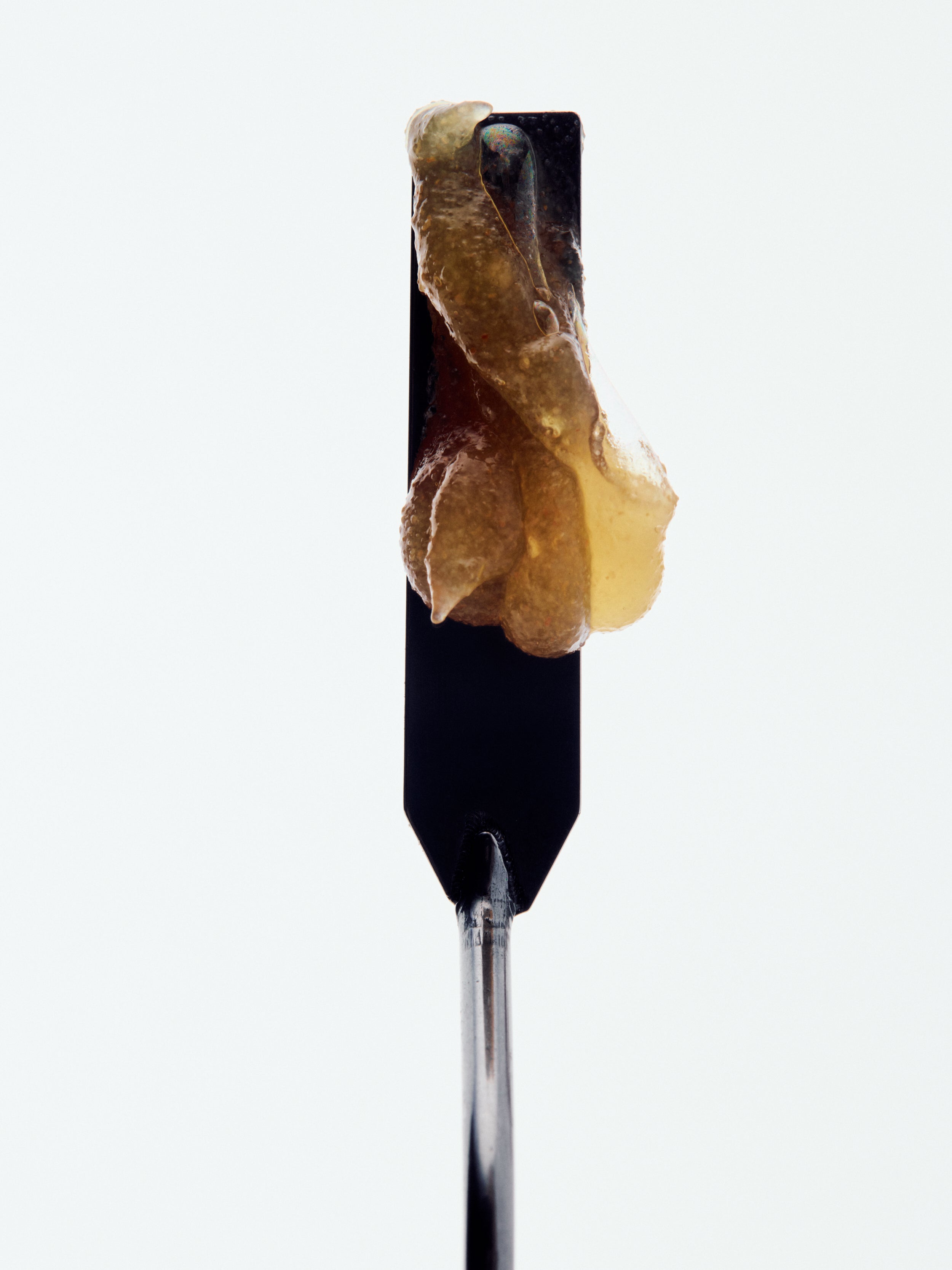 GOOP BEAUTY Cloudberry Exfoliating Jelly Cleanser Lifestyle