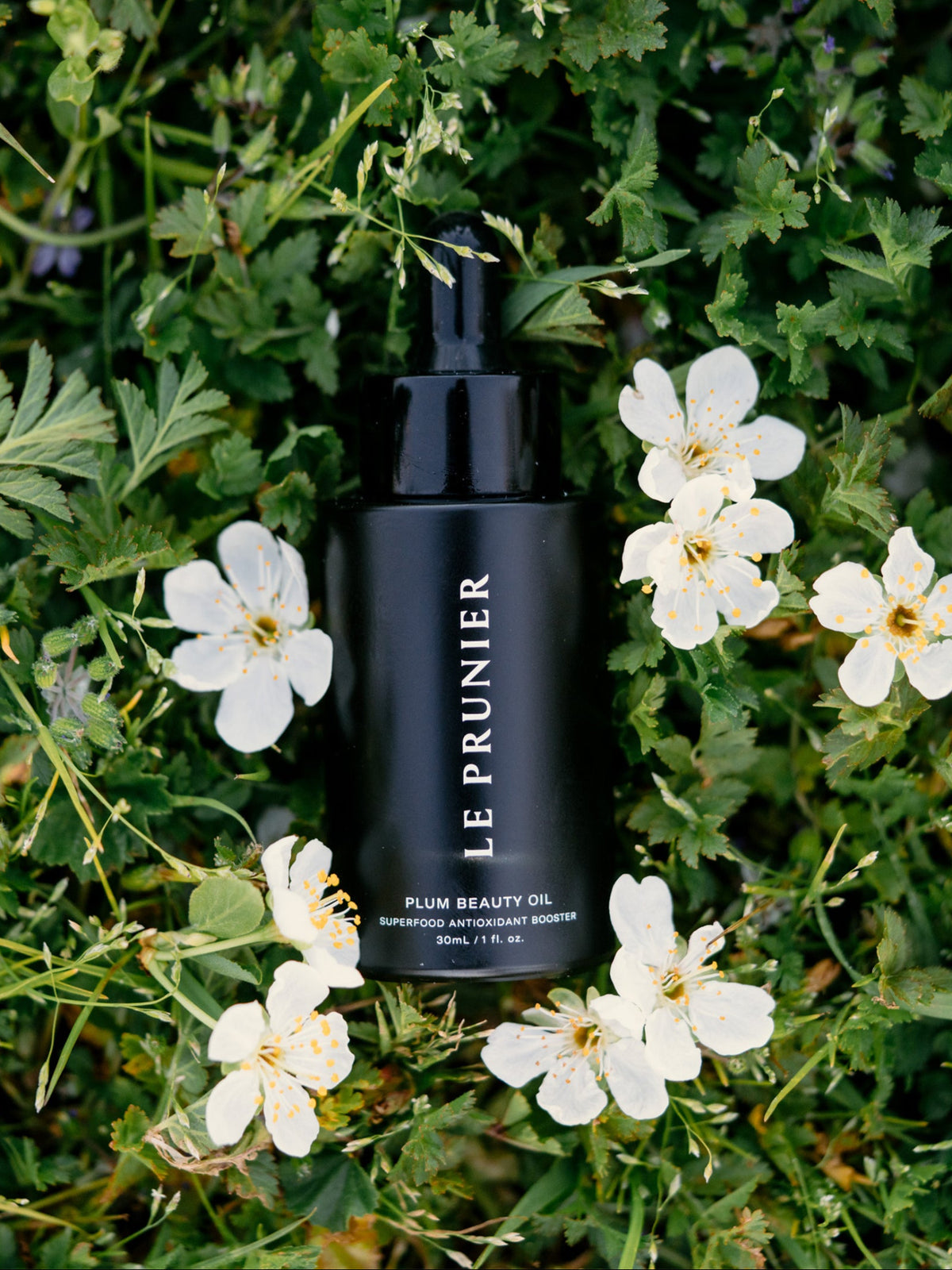 Le Prunier Plum Beauty Oil bottle surrounded by plum blossoms, showcasing antioxidant-rich natural skincare