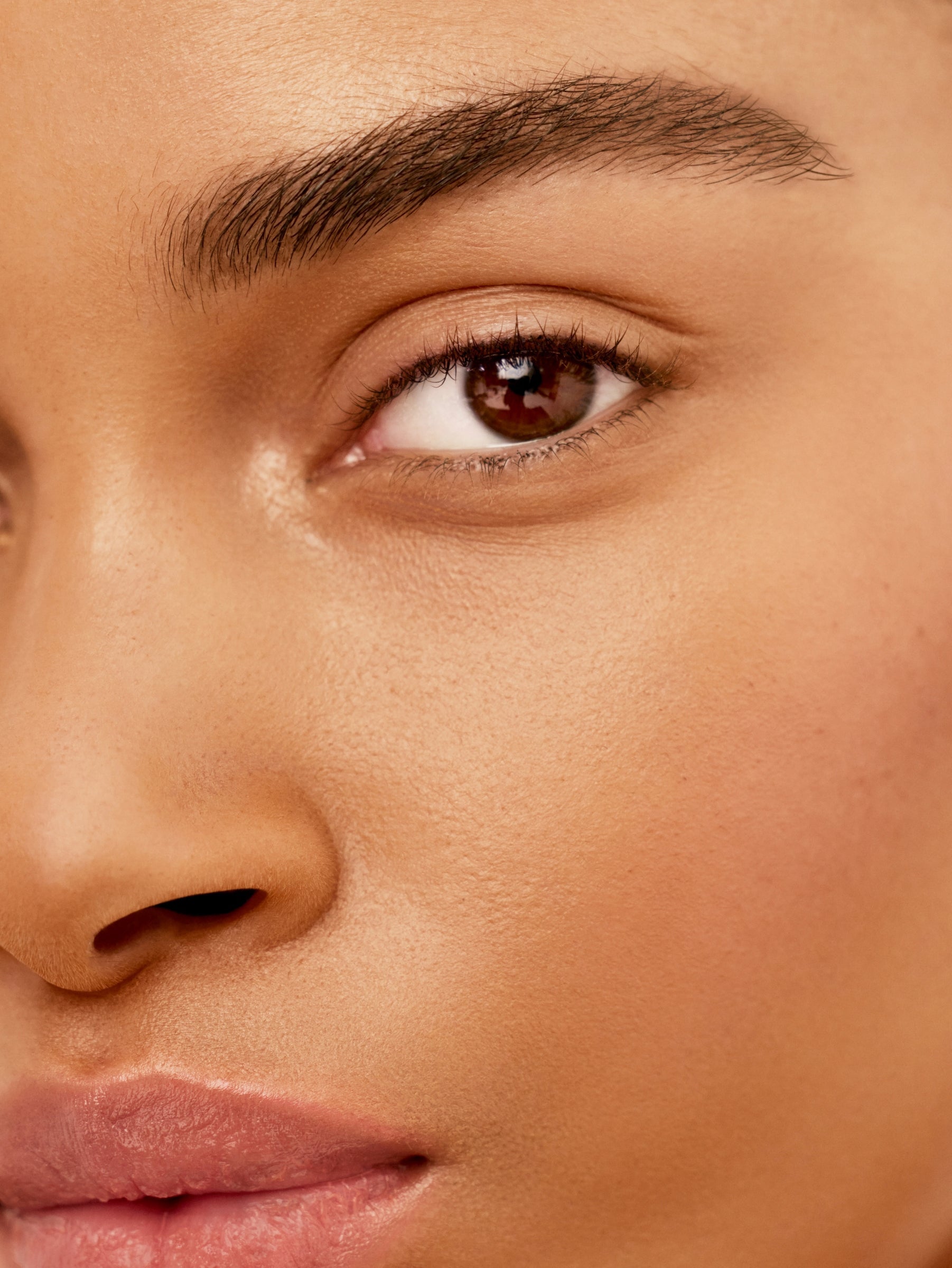 WESTMAN ATELIER Bonne Brow Defining Pencil in Bark Model Image