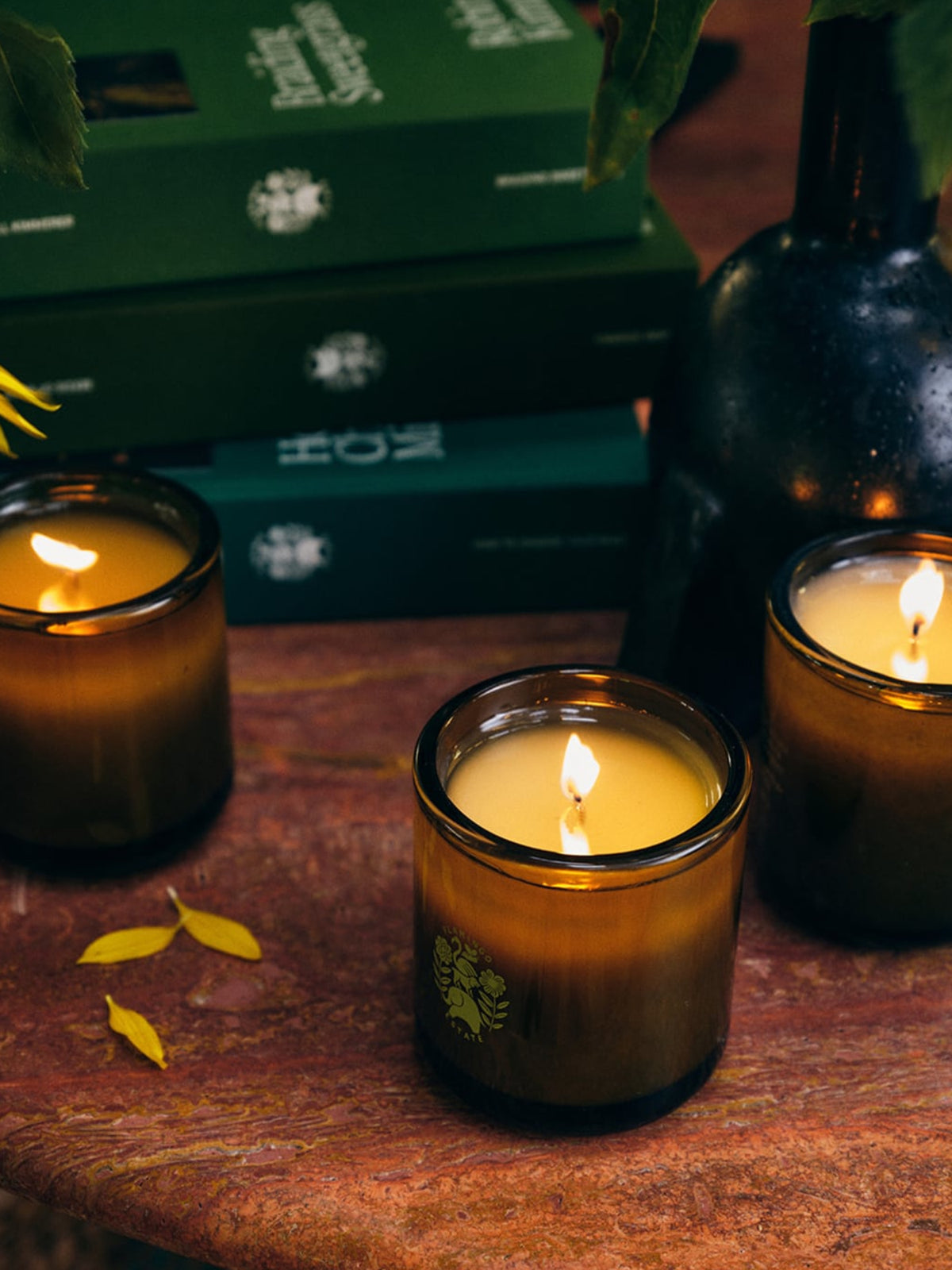 Flamingo Estate Climbing Tuscan Rosemary candles arranged on a wooden table in a warm, inviting setting