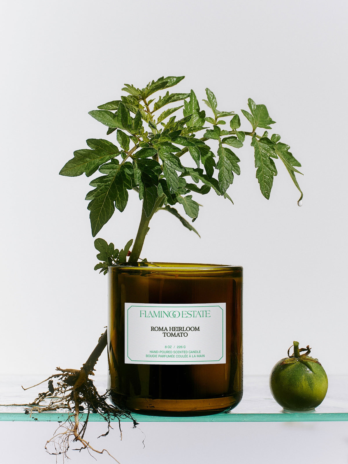 Flamingo Estate Roma Heirloom Tomato Candle displayed with a tomato plant and green tomato