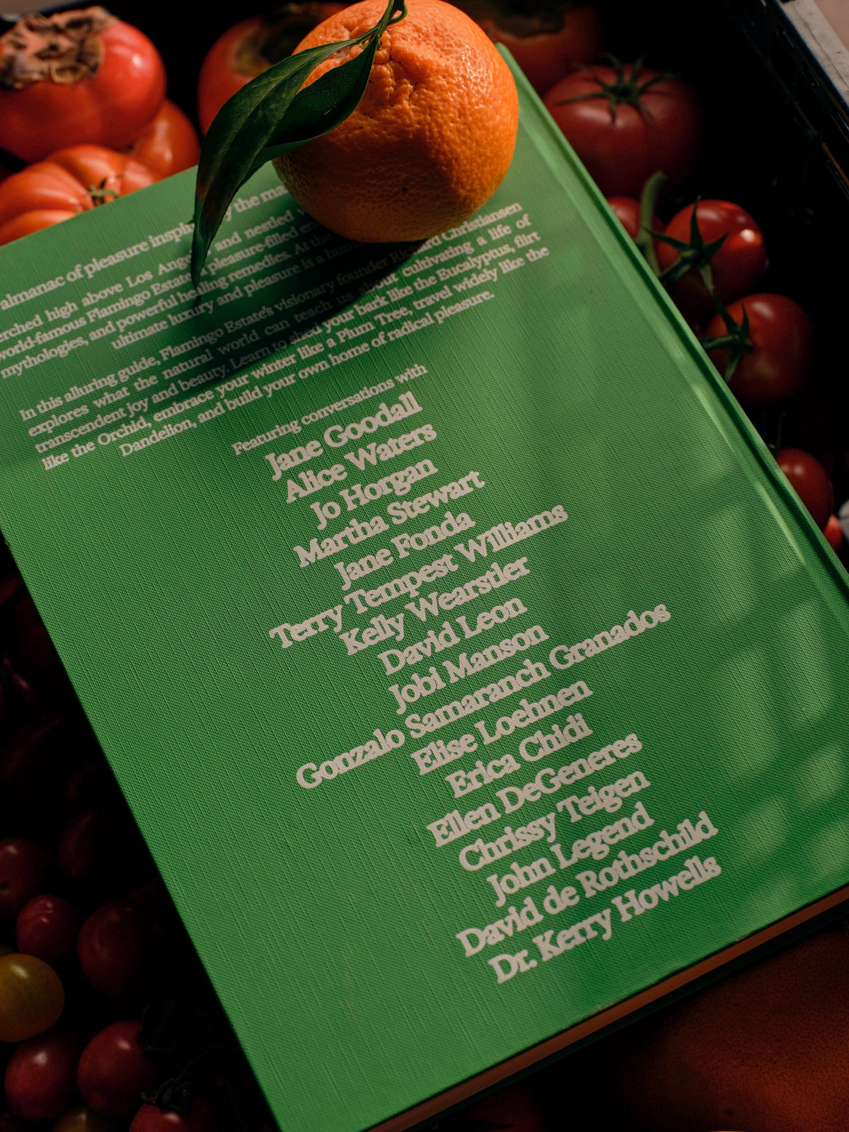 Back cover of Flamingo Estate The Guide to Becoming Alive by Richard Christiansen with an orange and tomatoes