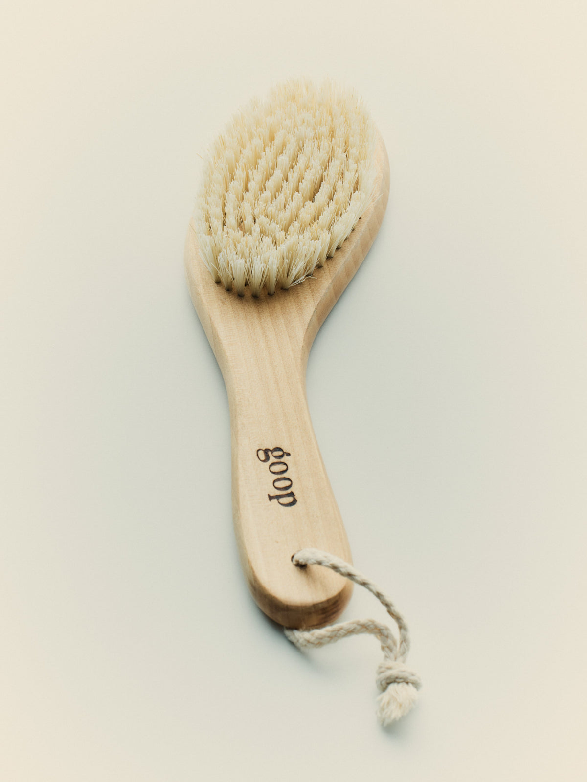 goop beauty Ultimate Dry Brush with natural bristles