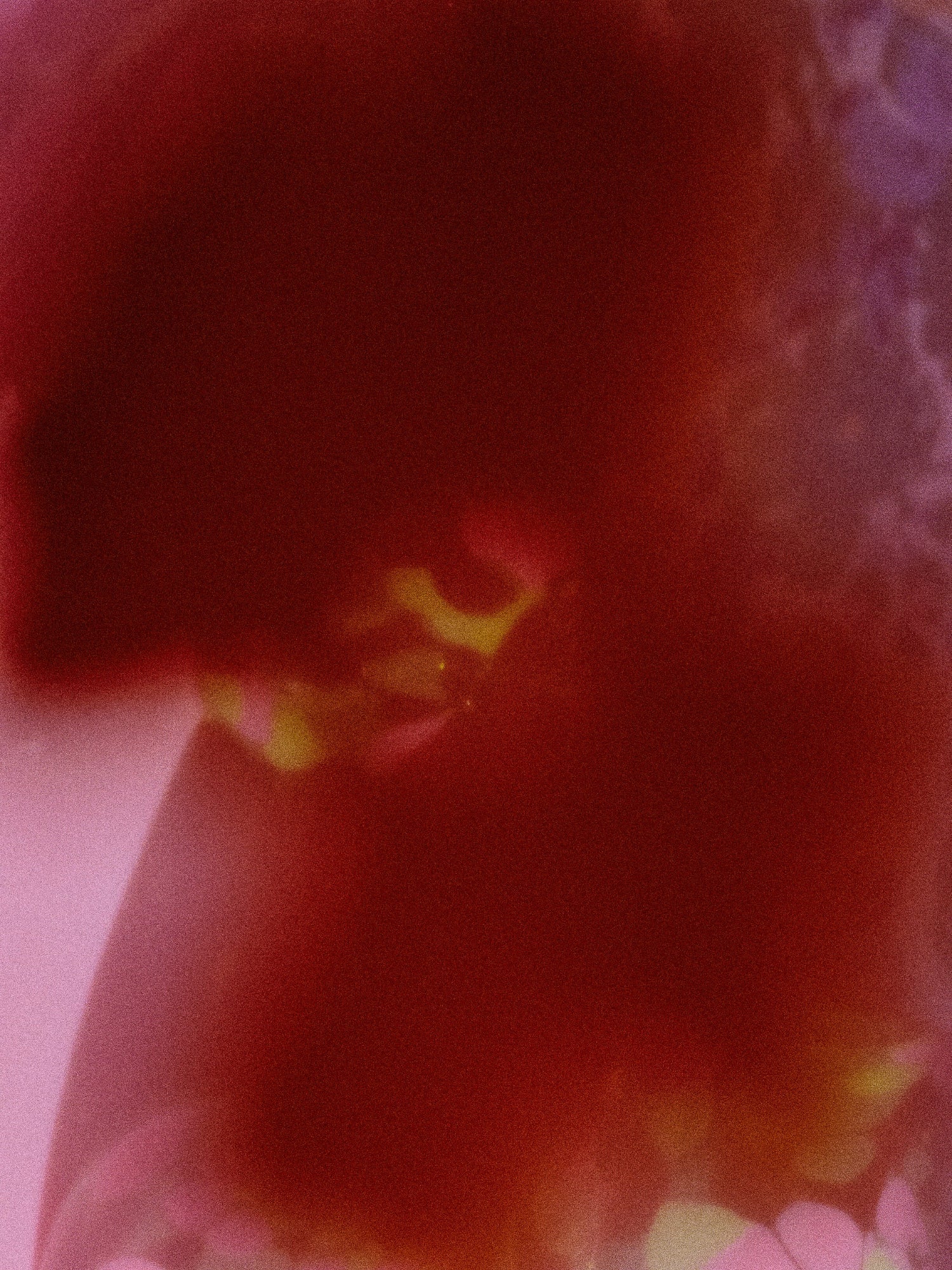 Abstract mood image for ABEL Pause Eau de Parfum in warm red tones