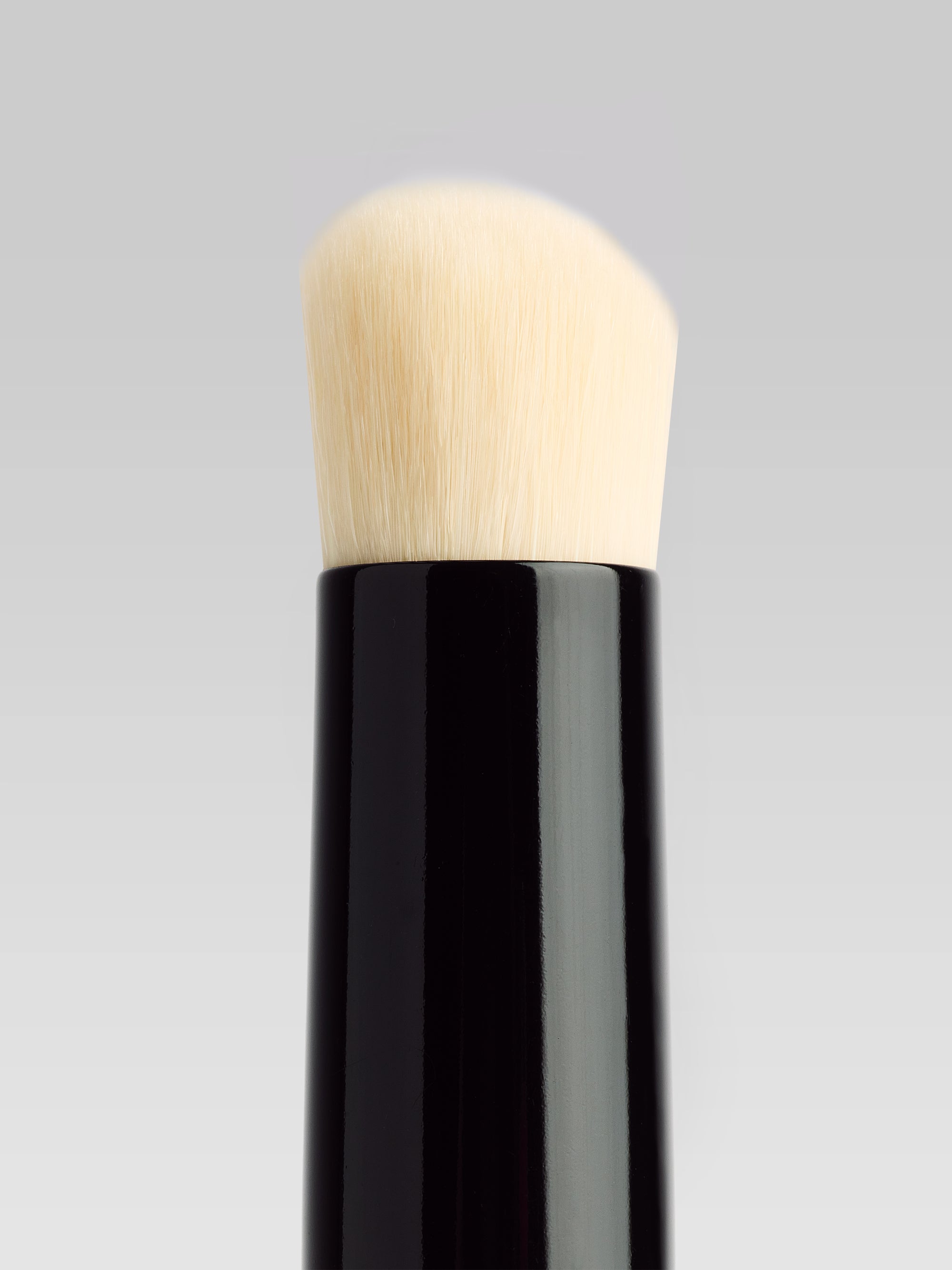 FARA HOMIDI Blur Brush Closeup