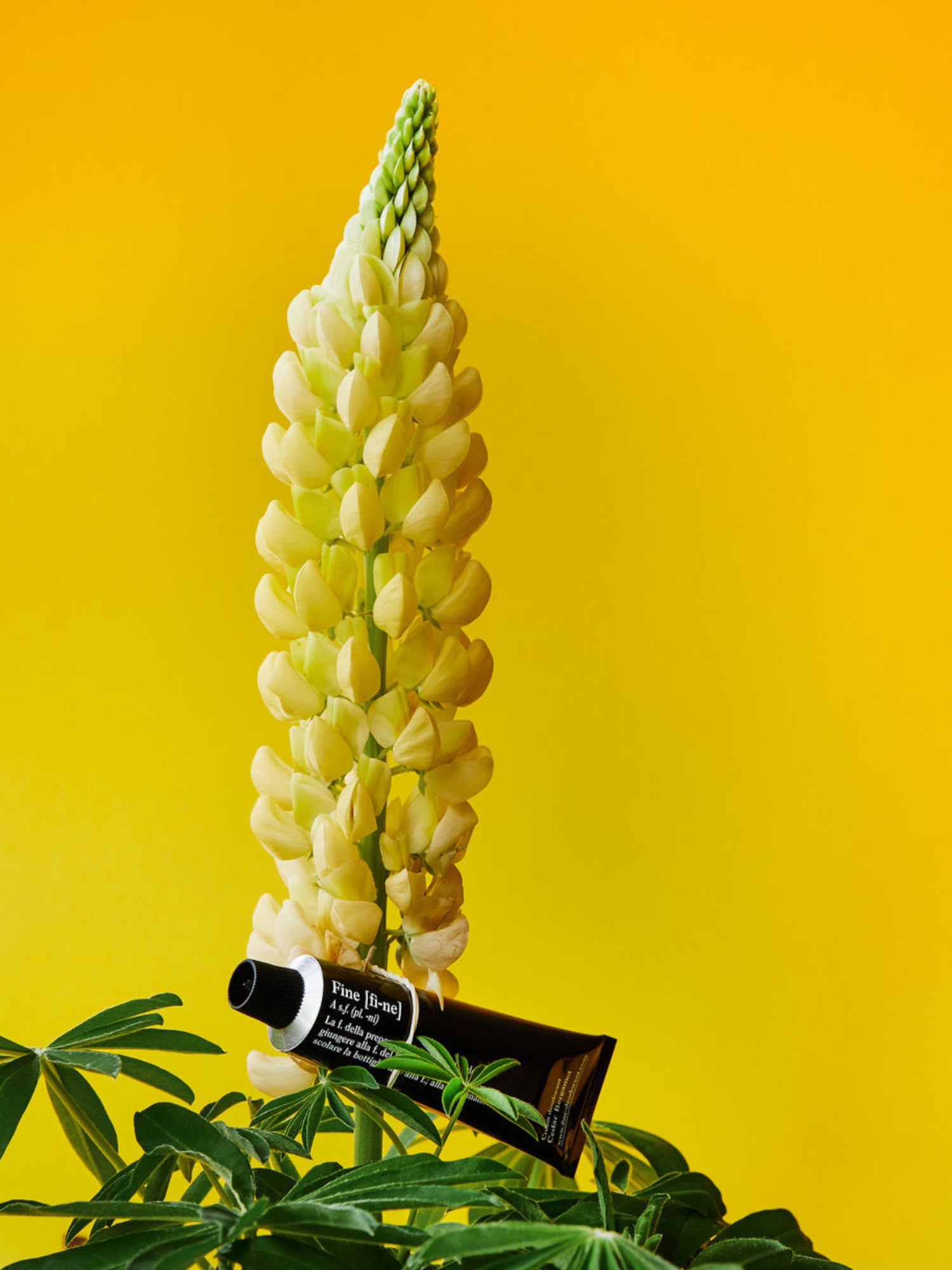 FINE Deodorant Cedar Bergamot with lupine flower on yellow background
