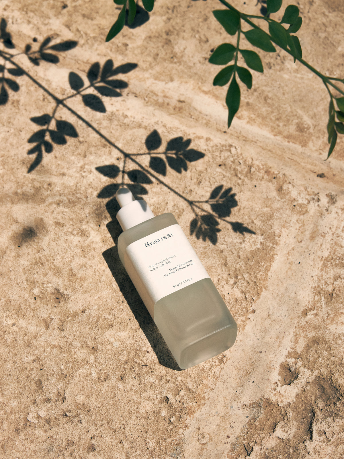 HYEJA Heartleaf Niacinamide Calming Serum Lifestyle Image, bottle on stone ground with a leafy twig throwing shade on it