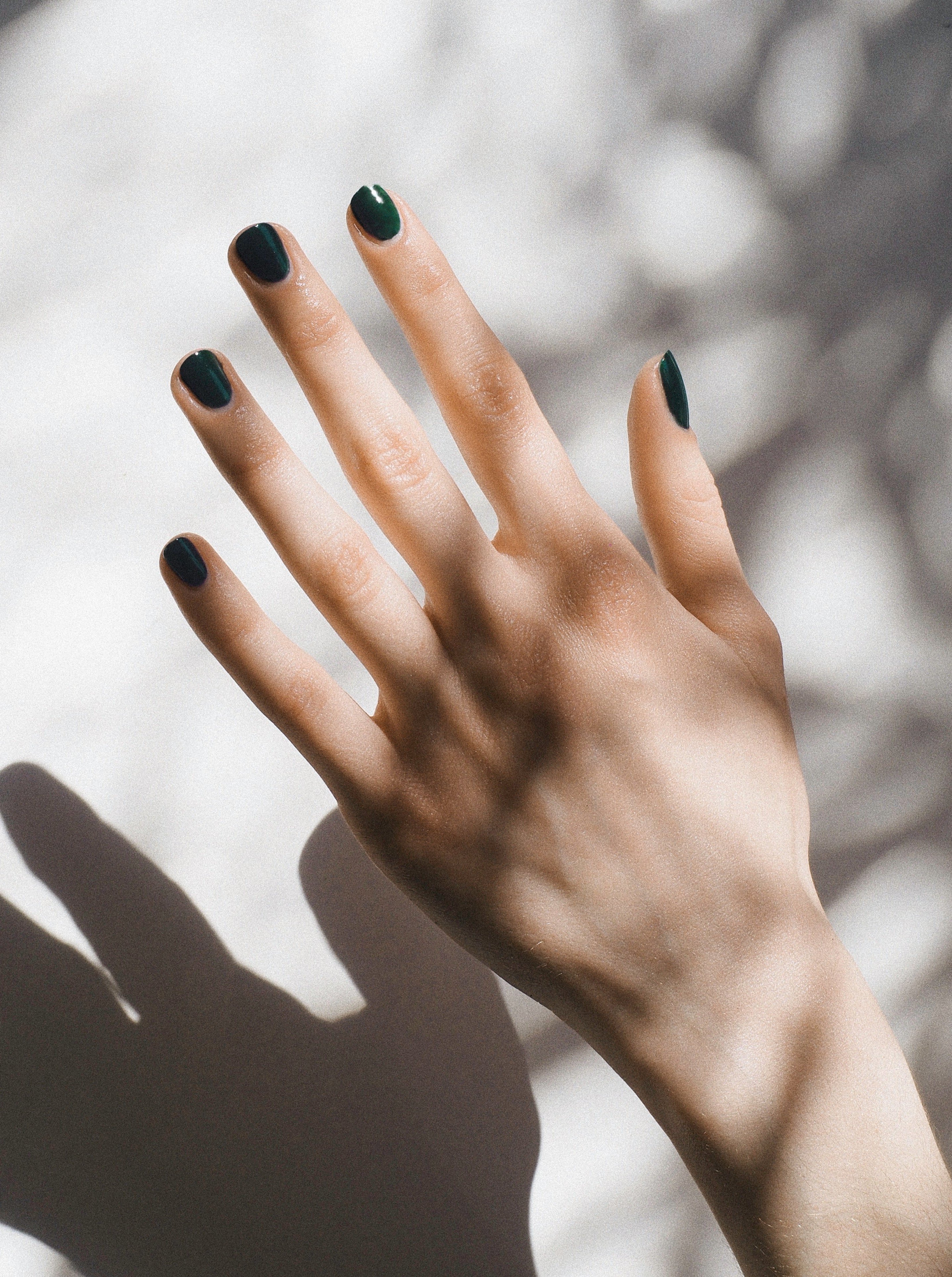 Karolin van Loon Feuille Lotus Nail Polish Hand
