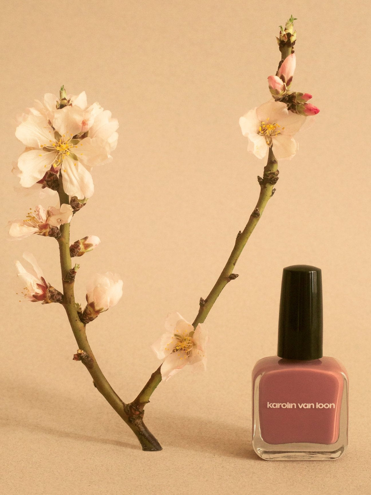 Karolin Van Loon Fleur de Sakura Nail Polish lifestyle image with cherry blossom