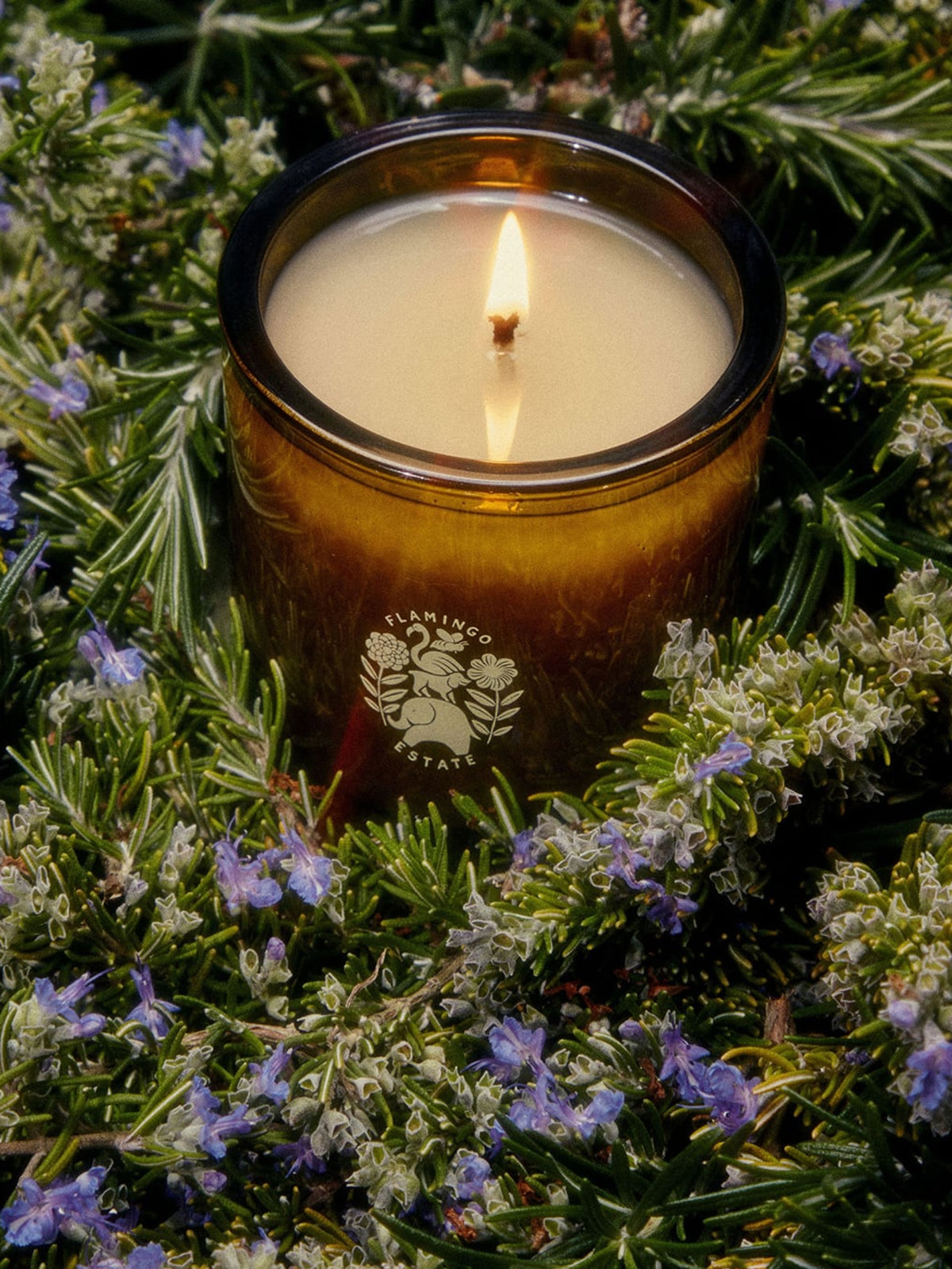 Flamingo Estate Climbing Tuscan Rosemary Candle surrounded by fresh rosemary sprigs and purple flowers