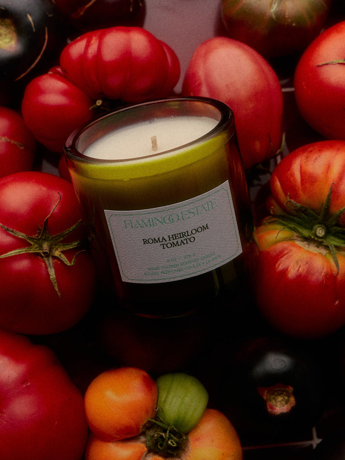 Flamingo Estate Roma Heirloom Tomato Candle surrounded by fresh heirloom tomatoes