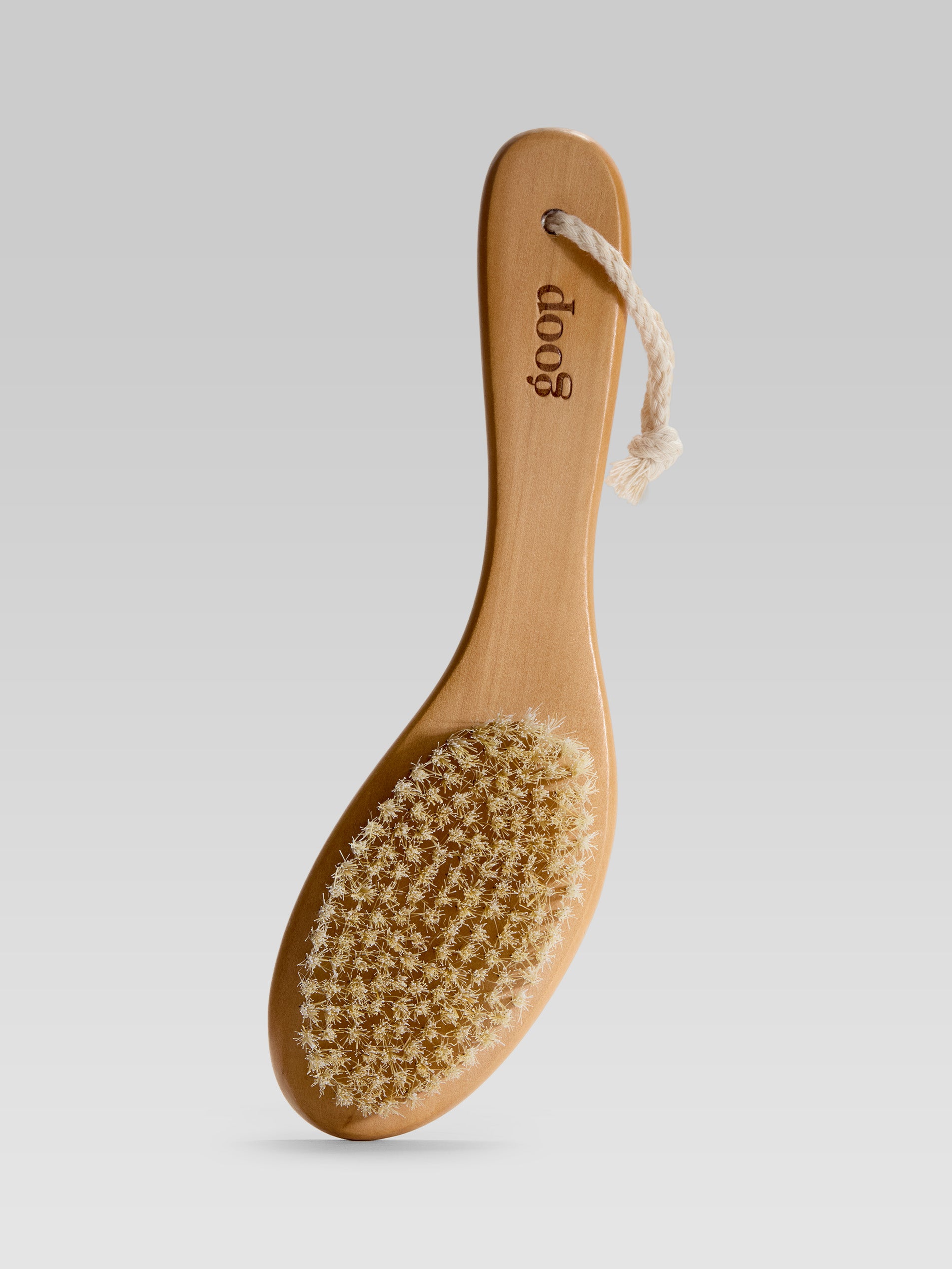 goop beauty Ultimate Dry Brush
