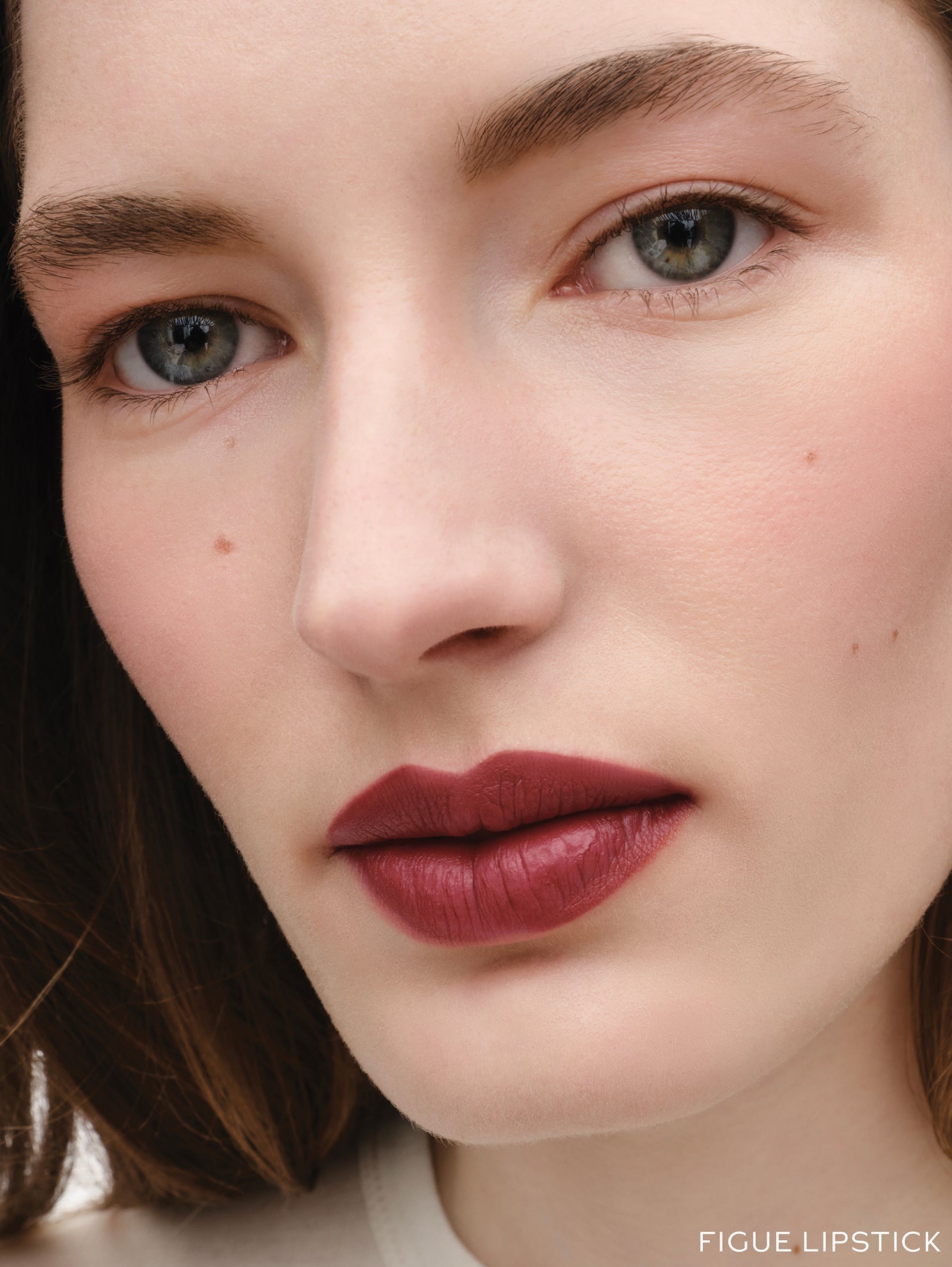 Westman Atelier Lip Suede Matte Lipstick in Figue on lips